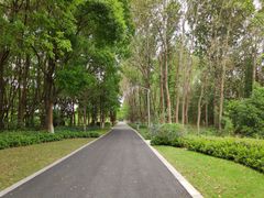 -昆山城市生态森林公园