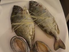 -青蓬蒸汽海鲜·深圳老字号·团建聚会(壹方城店)
