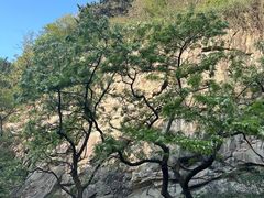 -泰山风景名胜区