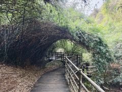 -梁野山景区