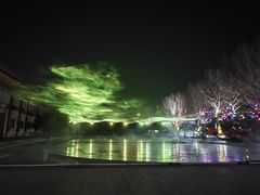 -南宫五洲植物乐园