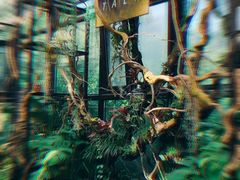 -北马山庄植趣咖啡