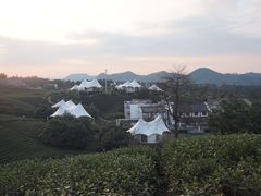 -帐篷客·溪龙茶谷度假酒店
