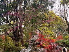 -上海醉白池公园