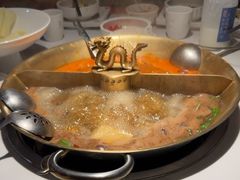 -小龙翻大江文化火锅(宽窄店)