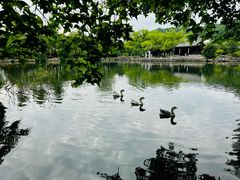-台州府城(东湖)