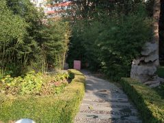 -团结湖公园