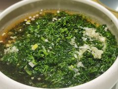 泉水芝麻苗-凯鸽酒楼(操场城店)