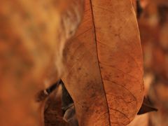 -罍+村(半边街店)