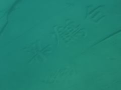 -白鹤梁水下博物馆