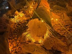 -乐山乌木文化博览苑