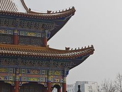 -药王庙(安国市)