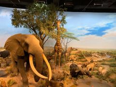 -陕西自然博物馆