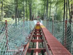 -藏龙百瀑风景区