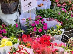 -顺鑫石门市场