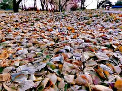 -长春公园(普阳街道)