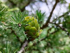 -白草畔自然风景区