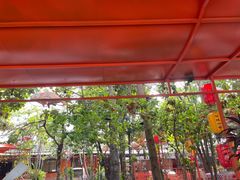 -陶缘一号·四季缘·老字号顺德菜·户外婚礼家宴(西滘店)