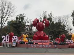 -苏州乐园森林水世界