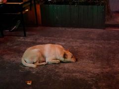 -Cactus墨西哥仙人掌餐厅