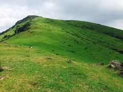 -大姆山草场