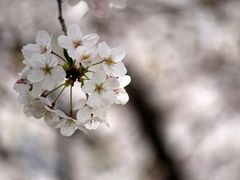 -龙美术馆(西岸馆)