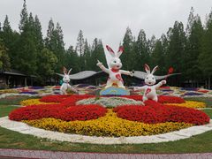 -东平国家森林公园