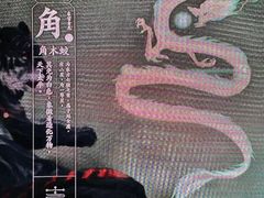 -星光岛