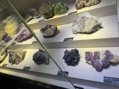 -河南自然博物馆