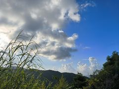 -阳台山森林公园