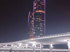 -演武大桥观景平台