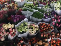 -三圣花乡旅游区