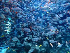 -成都浩海立方海洋公园