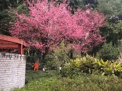 -重庆彩云湖湿地公园