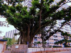 -彩虹村