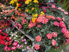 -山水茶艺馆·点心粤菜·30年老字号