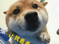-肯德基(八里台店)