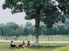 -汉长安城未央宫国家考古遗址公园