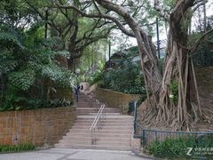 -九龙公园