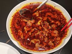 -秀儿四九城·新京菜(亚运村鸟巢店)