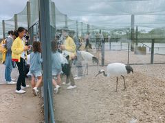 -盐城丹顶鹤湿地生态旅游区