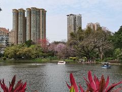 -晓港公园