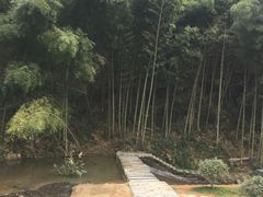 -梅岭月亮湾山体公园