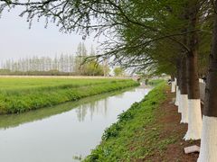-嘉北郊野公园
