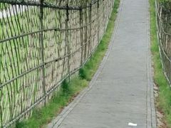 -南通洲际绿博园