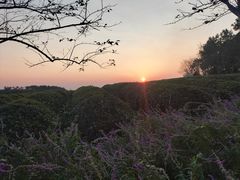 -凤凰沟景区