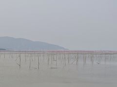 -北岐滩涂