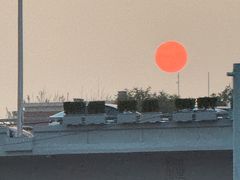 -卞二小串·鹤岗烧烤·坑烤(永定路店)