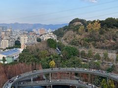 -福道