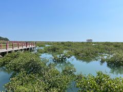 -北海金海湾红树林生态旅游区